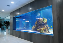 American Sealants, Inc. - Photo 3 - Car repair in Grand Junction, CO, Grand Junction