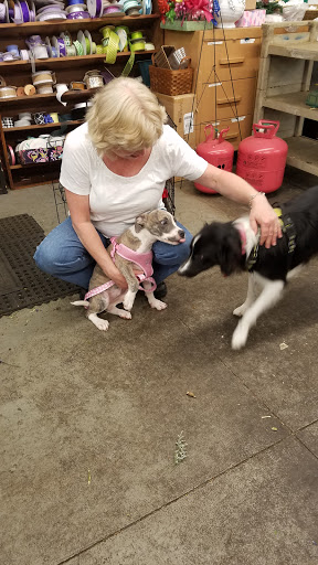 Florist «Teefey Flowers», reviews and photos, 9716 Holmes Rd, Kansas City, MO 64131, USA