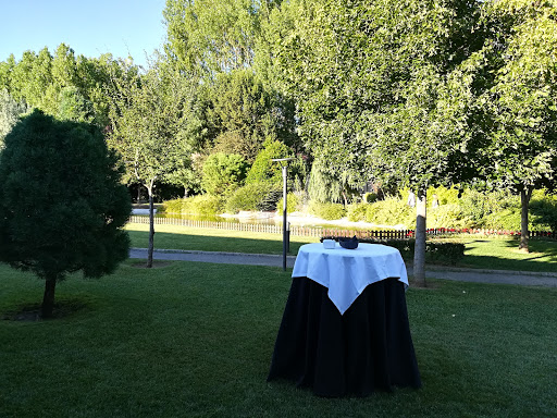 Información y opiniones sobre Restaurante La Realeza de León