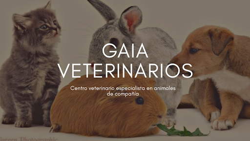 Clínica Veterinaria Gaia en Vecindario