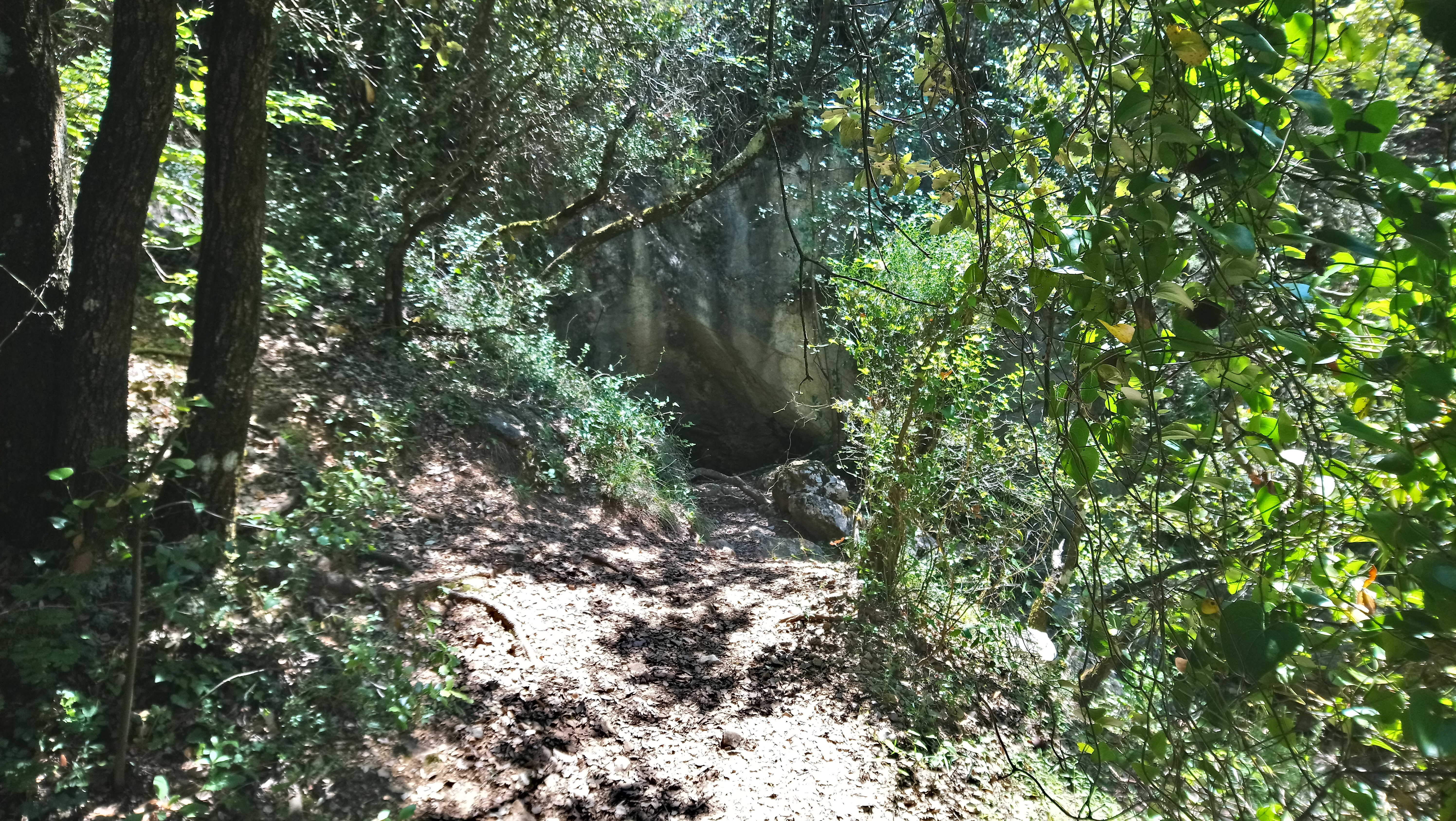 Photo n° 1 de l'avis de Jean-Philippe.e fait le 27/07/2018 à 07:17