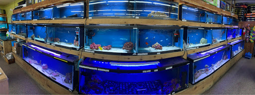 Pet Store «Oak Park Natural Pet & Fish», reviews and photos, 23 N Harlem Ave, Oak Park, IL 60302, USA