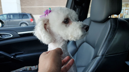 Pet Supply Store «PetSmart», reviews and photos, 2347 N Telegraph Rd, Monroe, MI 48162, USA