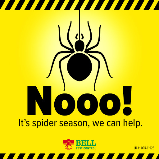 Bell Pest Control image