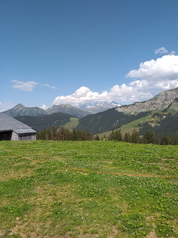 Photo n° 4 de l'avis de kheira.a fait le 22/08/2019 à 00:57