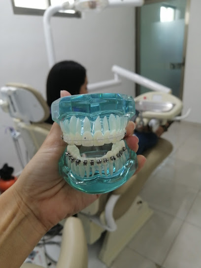 Dental México