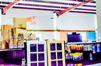 VEG International - Photo 9 - Car repair in Potters Village, Antigua & Barbuda, Aguadilla