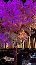 Photo n°65 de Mevan à Piscop ()