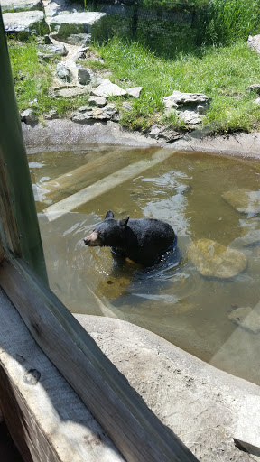 Zoo «Thompson Park Zoo and Conservancy», reviews and photos, 1 Thompson Park, Watertown, NY 13601, USA