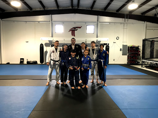 Taekwondo lessons Houston