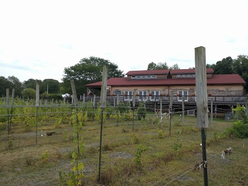 Vineyard «Sandhill Crane Vineyards», reviews and photos, 4724 Walz Rd, Jackson, MI 49201, USA
