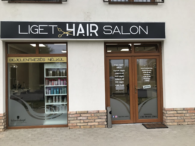 Liget hair salon