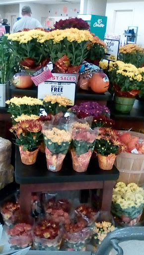 Supermarket «Big Y», reviews and photos, 7 Medway Rd, Milford, MA 01757, USA