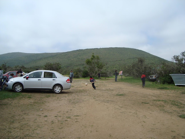 Opiniones de Camping Municipal Pampilla en Canela - Camping