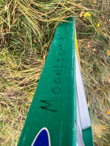 Photo of Moonlight Electric