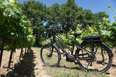 Sun-E-Bike à Bonnieux