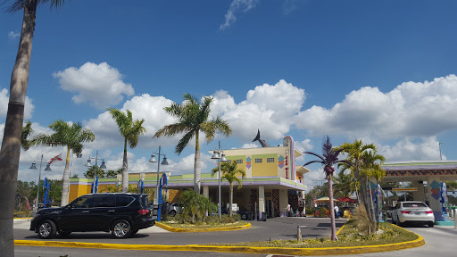 The Palms Car Wash en Wesley Chapel