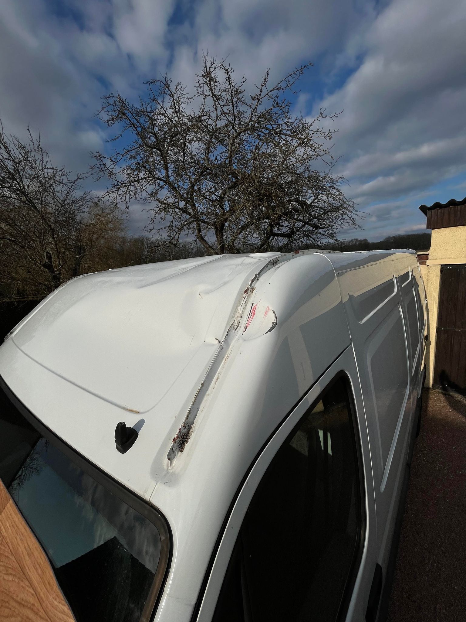 Photo n° 1 de l'avis de necnive. fait le 19/03/2023 à 17:05
