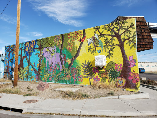 Pet Groomer «Animal Kingdom Grooming», reviews and photos, 339 S Santa Fe Ave, Pueblo, CO 81003, USA