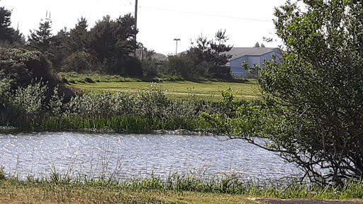 Public Golf Course «Ocean Shores Golf Course», reviews and photos, 500 Canal Dr NE, Ocean Shores, WA 98569, USA