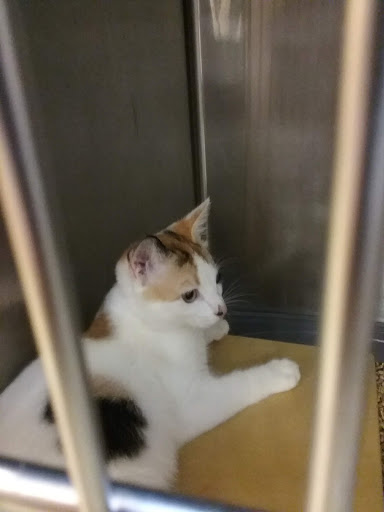 Pet Supply Store «PetSmart», reviews and photos, 315 Gellert Blvd, Daly City, CA 94015, USA