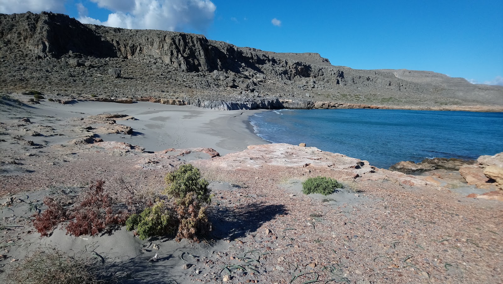 Foto van Alona beach wilde omgeving