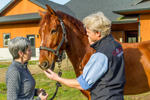 Del Oeste Equine Hospital LLC - Chris Camp, DVM image
