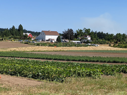 Public Golf Course «Lake Oswego Public Golf Course», reviews and photos, 17525 SW Stafford Rd, Lake Oswego, OR 97034, USA