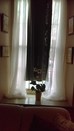 Coffee Shop «The Zen Den», reviews and photos, 20 Donaldson St, Doylestown, PA 18901, USA