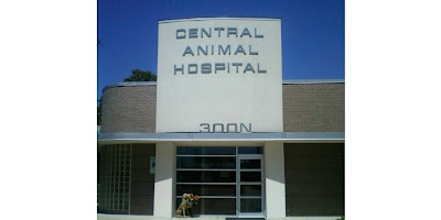 Central Animal Hospital