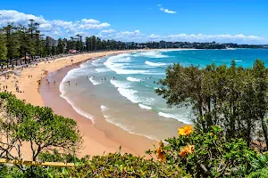 Manly Beach image