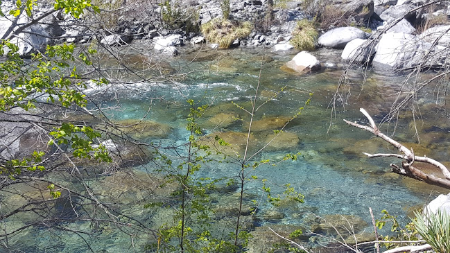 Horarios de Estero las Animas