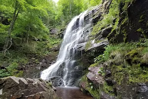 Chiprovtsi Waterfall image