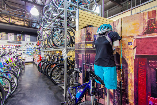 Bicycle Store «Global Bikes - Ahwatukee Bike Shop», reviews and photos, 3636 E Ray Rd #6, Phoenix, AZ 85044, USA