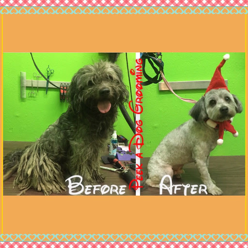 Pet Store «Peek-A-Dog Pet Grooming Adoptions», reviews and photos, 8452 State St, Lynwood, CA 90262, USA