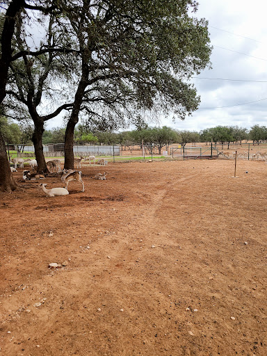 Zoo «The Exotic Resort Zoo», reviews and photos, 235 Zoo Trail, Johnson City, TX 78636, USA