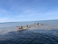 Northern Kentucky K9, LLC - Photo 4 - Car repair in Erlanger, KY, Cincinnati