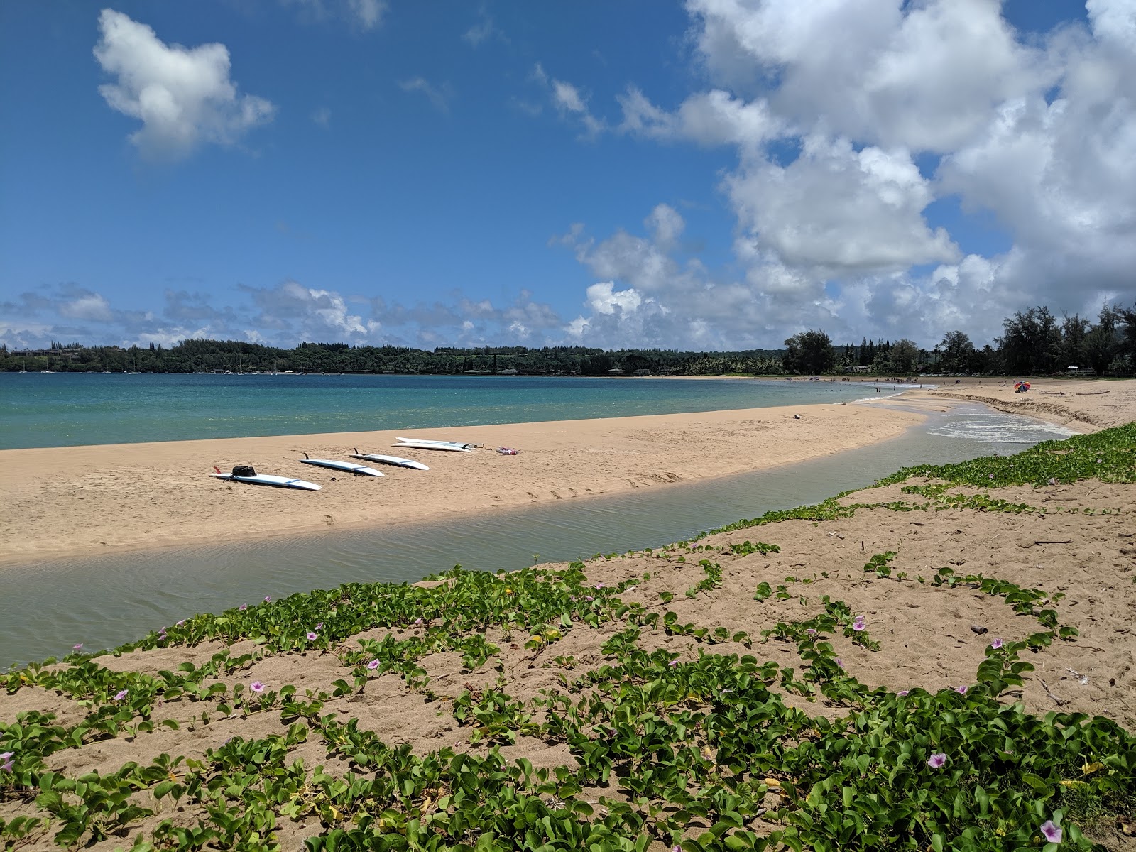 Foto van Hanalei Beach voorzieningenruimte