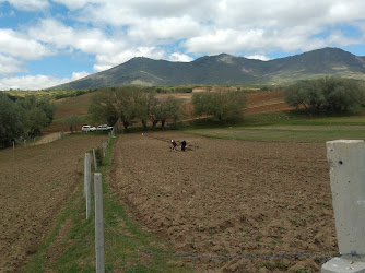 Cankıllı Köyü Muhtarlığı