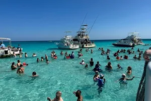 Stingray city SCUBA Dive site image