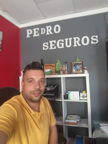 Comentários e avaliações sobre o Pedro Seguros