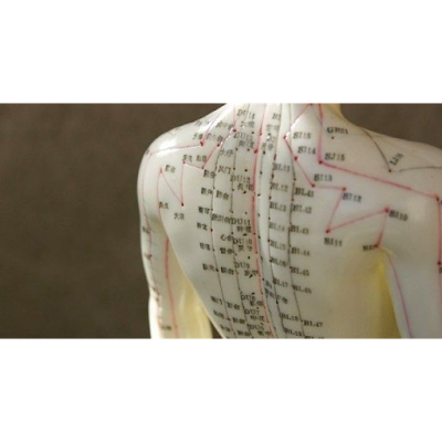 Sage-femme Acupuncteur Fourgeaud Nathalie à Limoges