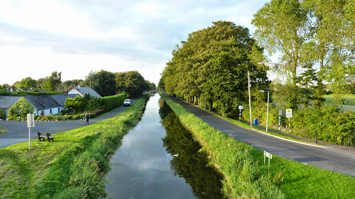 Bluebird Care Kildare in Kildare, Co. Kildare (Cill Dara)