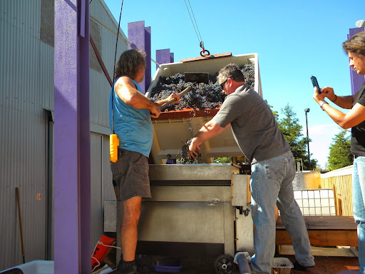 Winery «Purple Line Urban Winery,llc», reviews and photos, 760 Safford St, Oroville, CA 95965, USA