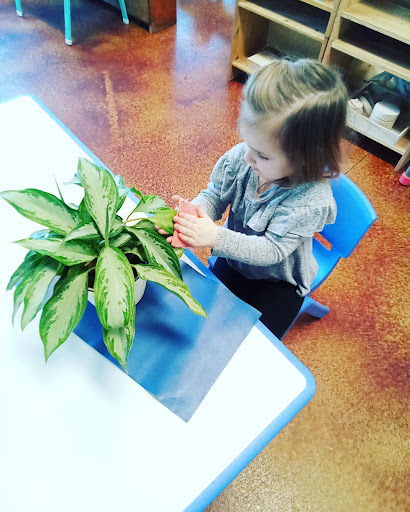 Montessori School «Sonnet Montessori», reviews and photos, 4637 Park Nicollet Ave SE, Prior Lake, MN 55372, USA