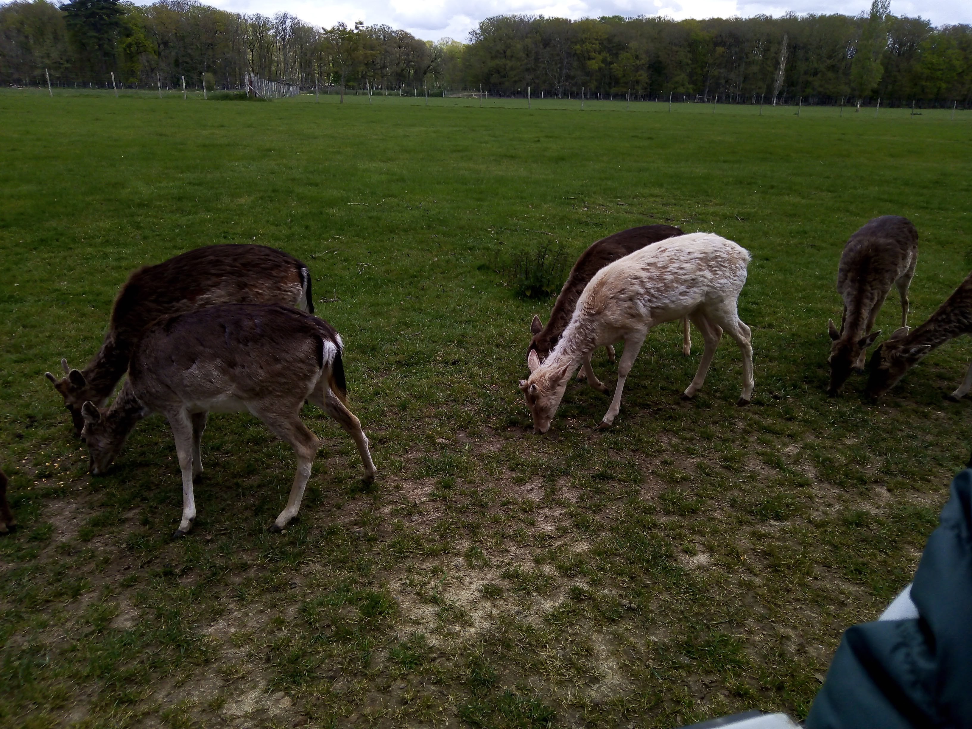 Photo n° 2 de l'avis de Nathalie.l fait le 13/05/2023 à 23:14