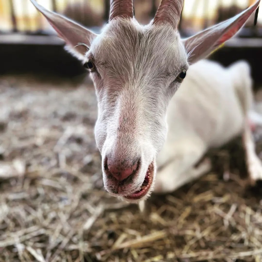 Photo n° 2 de l'avis de Aurélie.l fait le 20/03/2019 à 20:09