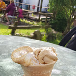 Photo n°1 de l'avis de Joël. fait le 10/08/2023 à 12:51 sur le  Gaststätte Arcun à Putgarten