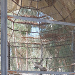 Photo n°3 de l'avis de Floriana.a fait le 16/08/2023 à 16:49 sur le  L'antica Stazione | Piazza Armerina ( EN ) | Enna à Enna