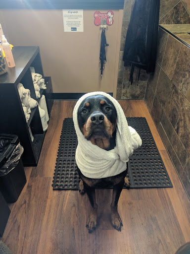 Pet Store «Pet Valu», reviews and photos, 1422 North Point Village Center, Reston, VA 20194, USA